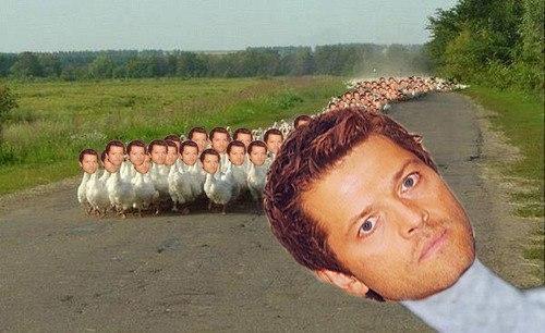 liseslov's tweet photo. Кажется меня очень прет:-D http://t.co/d4PehJwnQT