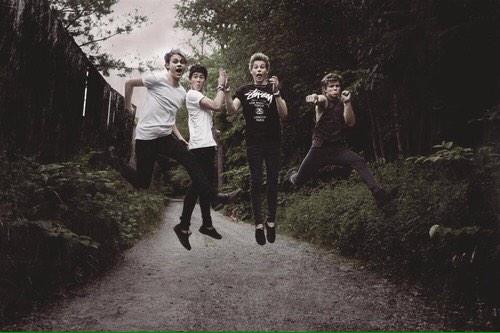 zowithluv's tweet image. THESE DORKS DESERVE IT #vote5sos