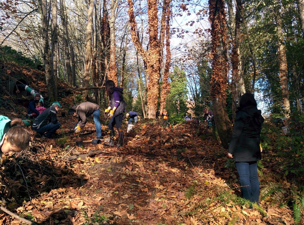 coreyac's tweet image. Never seen so many trees being planted at the same time! #greenseattleday #beaconbikepark