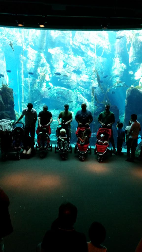 NYCDadsGroup's tweet photo. Love it! MT @Britax: Strolling with the fish!  @citydadsgroup
@ladadsgroup #britaxstyle @CaliforniaScienceCenter http://t.co/O6mnyAGvQD