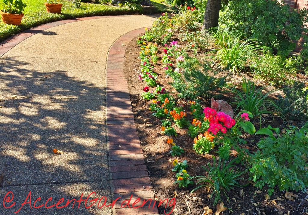 AccentGardening's tweet image. AG word of da day #RepeatBiz
getting it right da first time
RepeatBiz #FlowerbedSpecialist