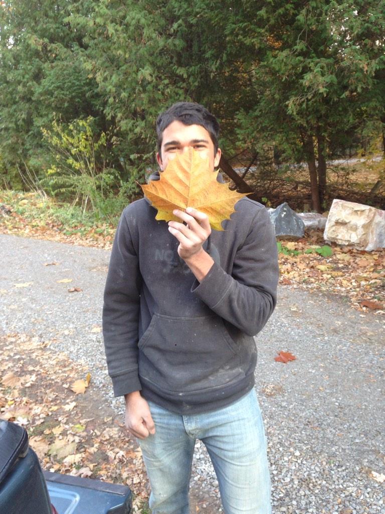 hoffy01 tweet picture