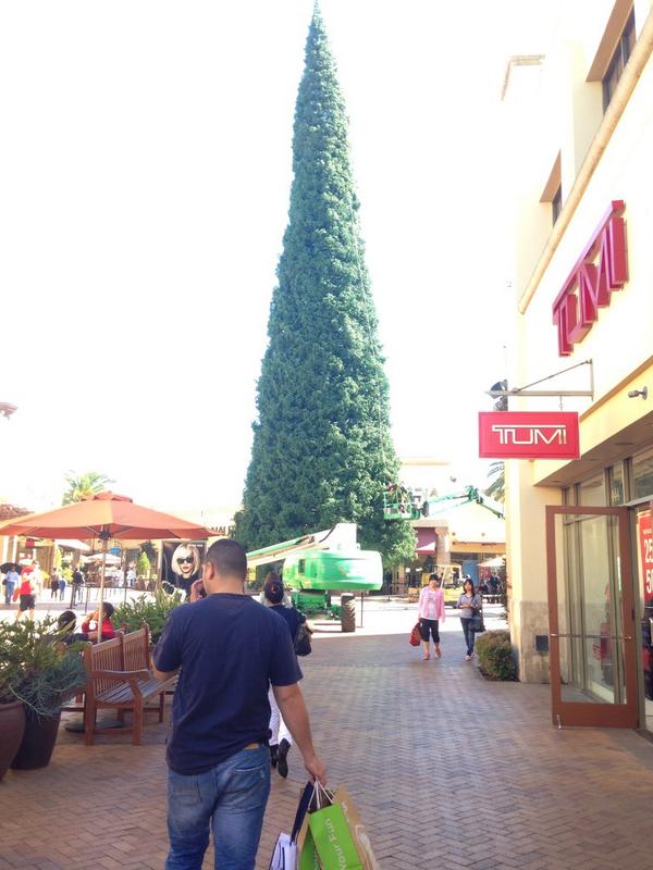 FOX 11 Los Angeles on Twitter "Citadel Tree Lighting Concert is