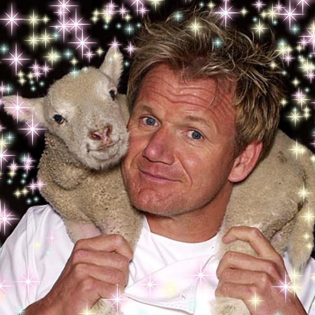 HAPPY BDAY GORDON RAMSAY!!     