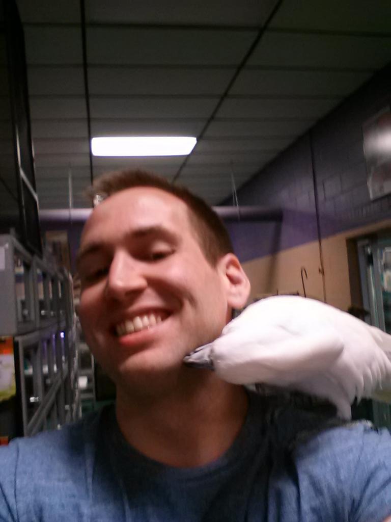 ronthen64's tweet image. 