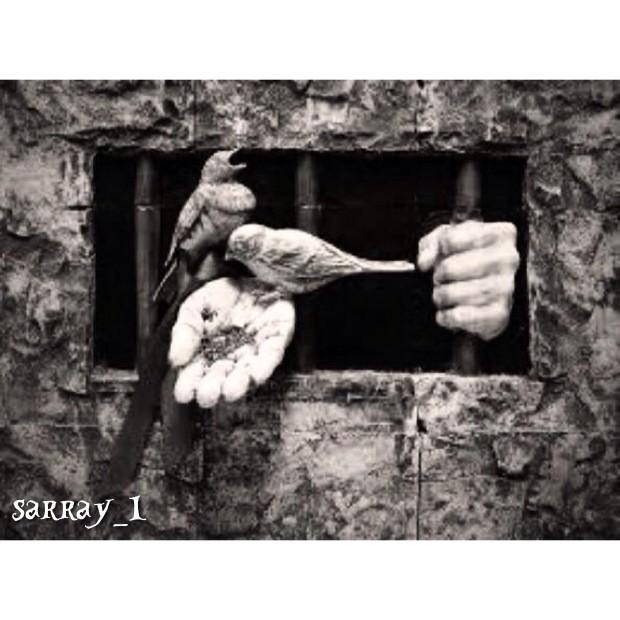 sarray_1's tweet photo. ��لإنْسانِية أن تُعطِي ، ولو كُنتَ محْرُوماً ..! http://t.co/OW9diXmm0E