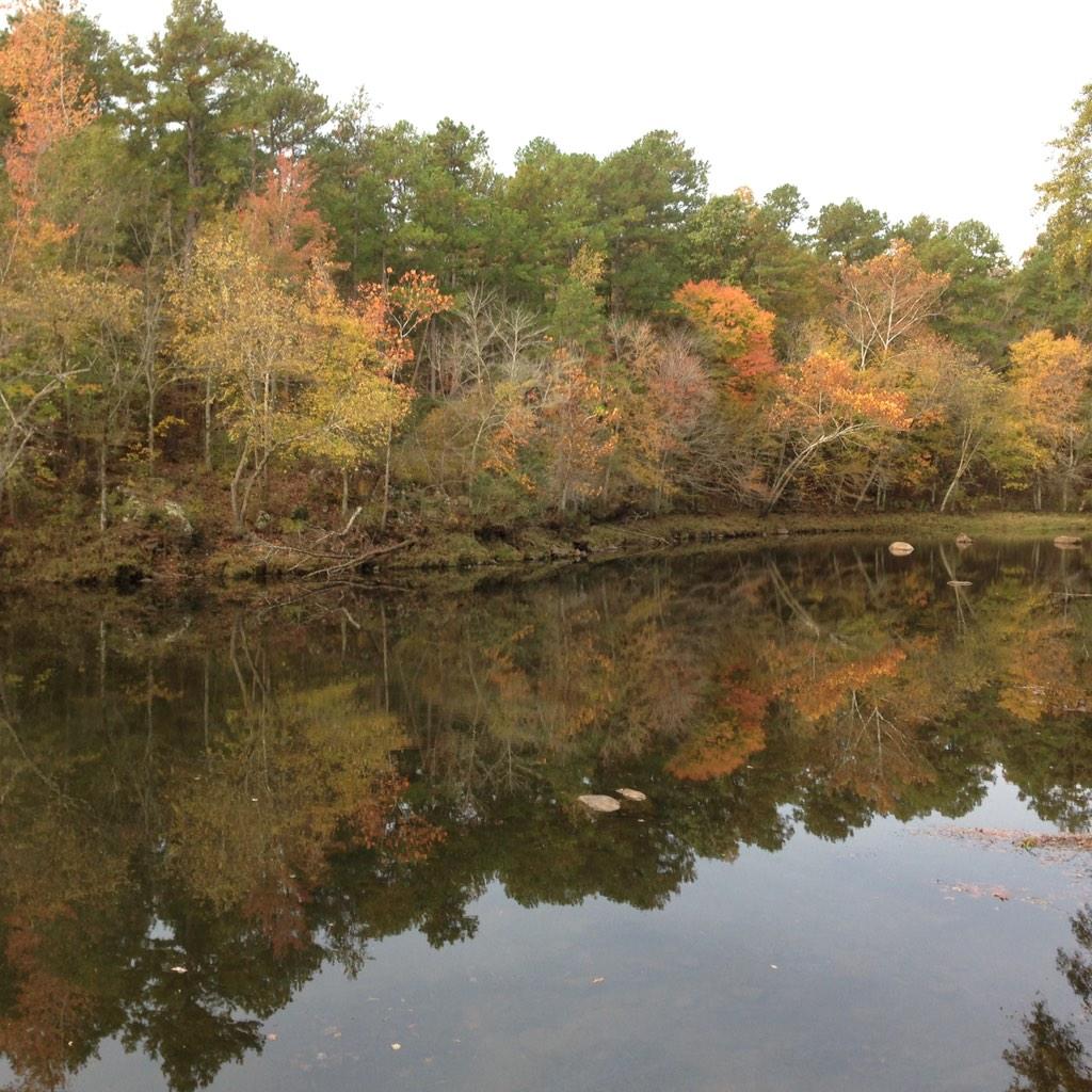 My view today. #flyfishing