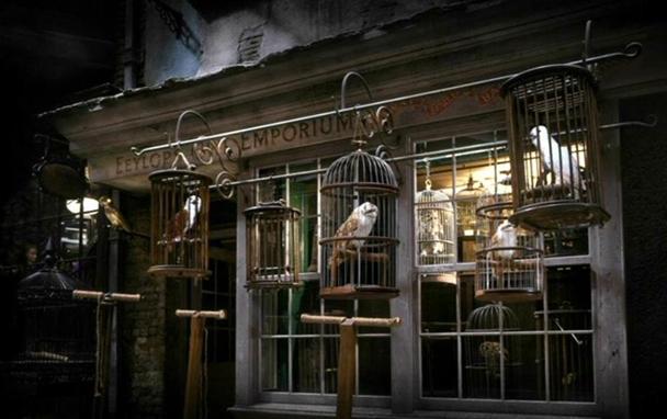 Hagrid tuvo el detalle de regalarle una preciosa lechuza a Harry Potter #ElCallejónDiagon
