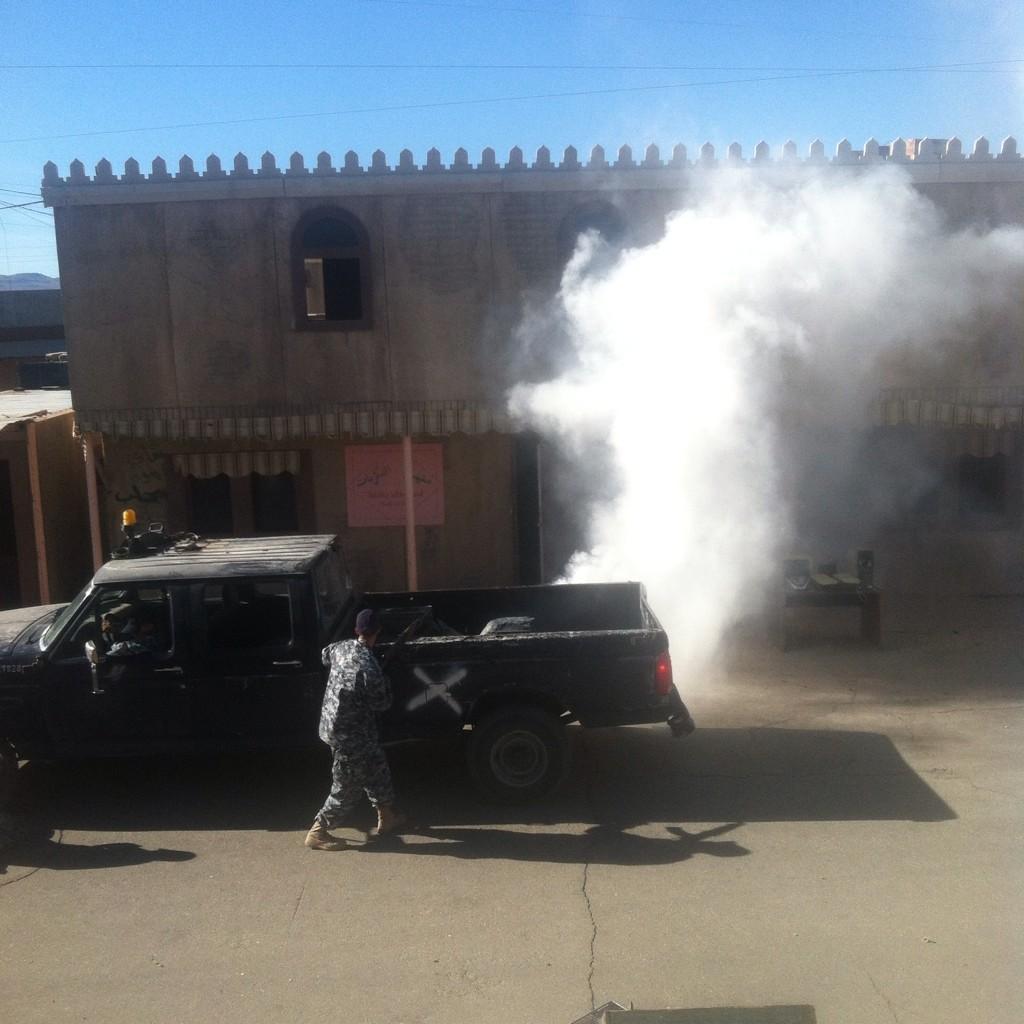 everythingtera's tweet image. Attacking Arabs!