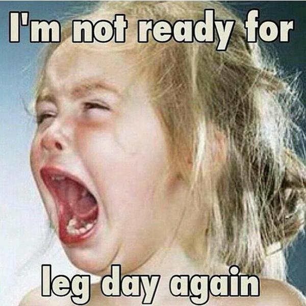 SoulLovinHealth's tweet photo. No really 😐

#LegDay #Workout #Healthy http://t.co/0BuV3Q7dBc