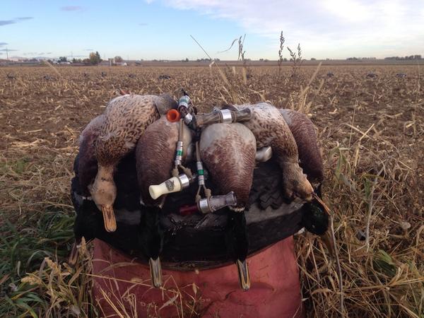 Jerdevries's tweet image. Gettin' it done strait meat style!!!! Couldn't do it without @foilesmigrators @StraitMeat @DakotaDecoy