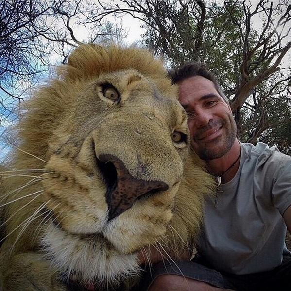 Lion selfie