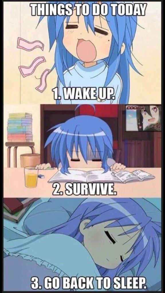 MeGrimlockFTW's tweet photo. School week http://t.co/7BBmbqAPRU