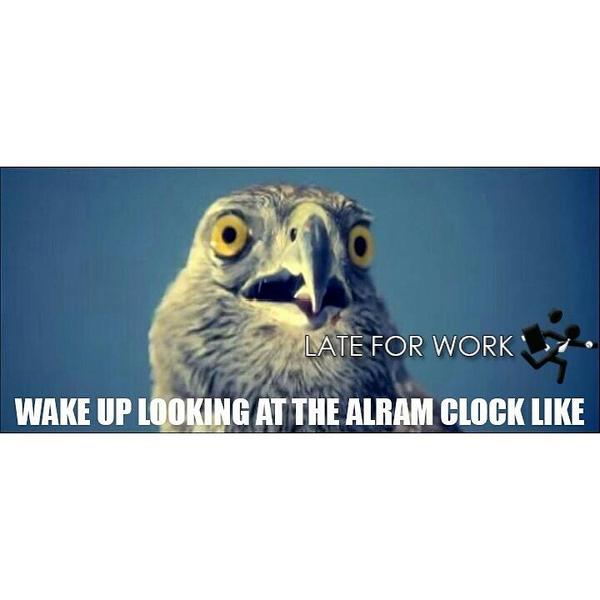 YourLateForWork's tweet image. #WakuUpLookingAtTheClockLike #LateForWorkLLC #LateForWork