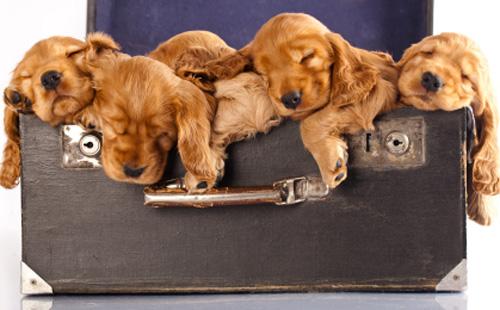 runnersworld's tweet photo. Sleep isn't a luxury - it's a training tool. Learn to use it: http://t.co/xrlKu3QL0M http://t.co/FVAUym48t7