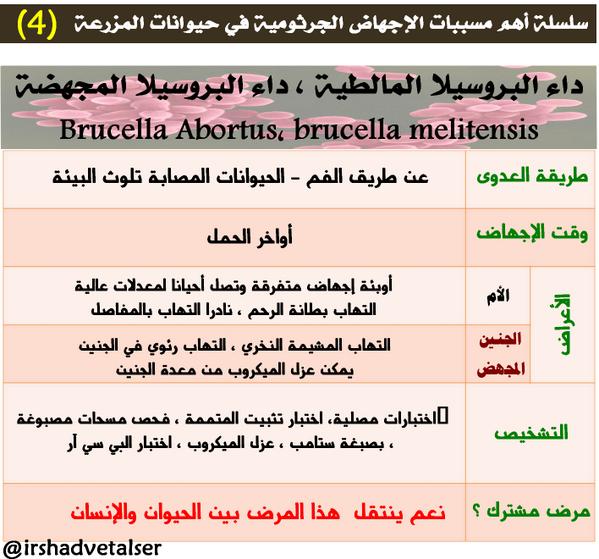 اعراض الحمى المالطيه