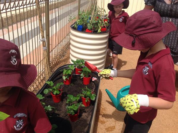 #SCnatureplayground nature play in action!!