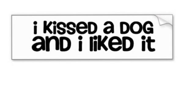 Best bumper sticker I saw today