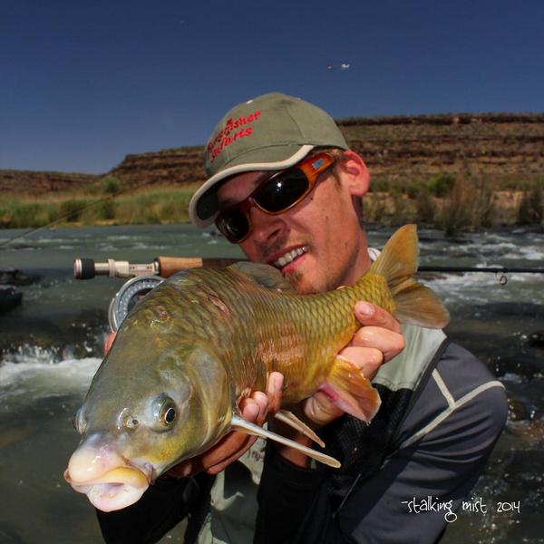 submist's tweet photo. Had an out of this world #flyfishing trip!!! #Yellowfish #southafrica @HunterFisherSA @UKFlyFisher7 http://t.co/7sCBf5sgF5