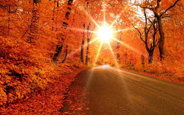 dreamplace2's tweet photo. Autumn starts, and so does a new day start #dreamplace http://t.co/dRC1dIrDnG