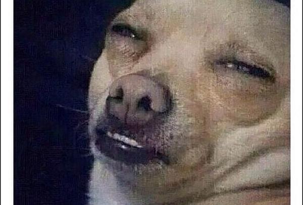 Springbrook_YB's tweet image. Wondering Why U Haven't Got A Yearbook Like...