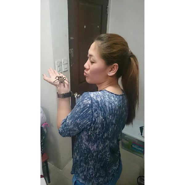 DianeAngelss's tweet photo. Cute Ate @santiagoiane .
Now I nominate @dindinquicker16 & @Abymarano for #TarantulaChallenge. ;)
HAHA. XD http://t.co/AI2tNQNUUX