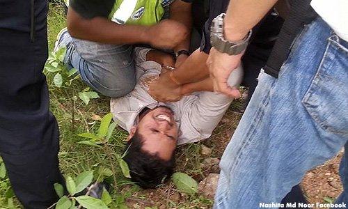 Embedded image permalink