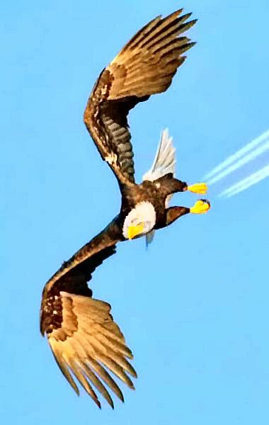 syufri (@syufri4) on Twitter photo 