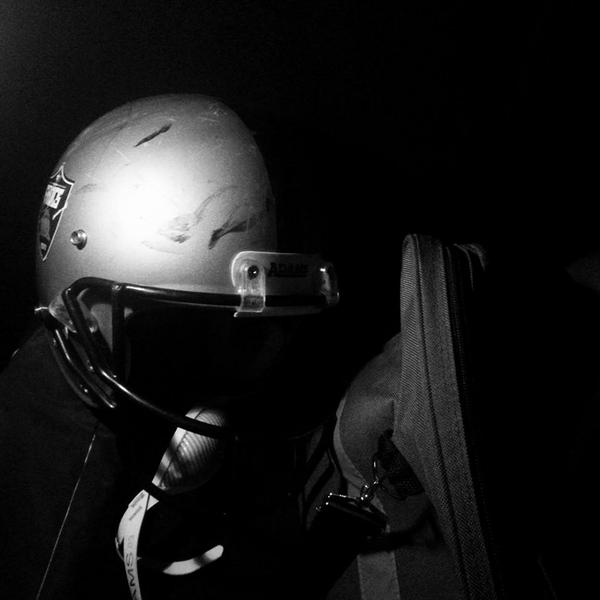 Frogs Rulez tweet media