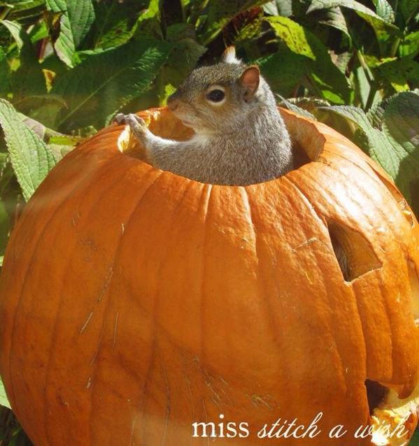 3TunsGateshead's tweet photo. Even squiggy looking forward to the three tuns Halloween party. Got your costumes yet everyone ? http://t.co/XWW0LtHbFY
