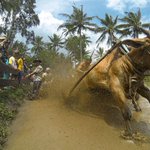 Photo by Go Pro Indonesia (@GoProID)