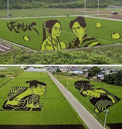 Jepangkucom's tweet photo. Tanbo Art, Seni Melukis di Atas Sawah. Baca selengkapnya: http://t.co/DJUE5msYzs http://t.co/zxzkYRisvh