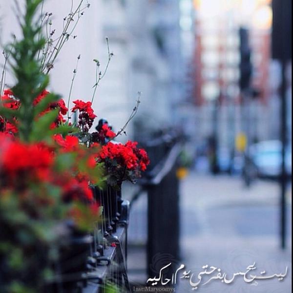DnDn_Al's tweet photo. ليته اءءءءهه ي ليته.. http://t.co/n1ygvj9F1E