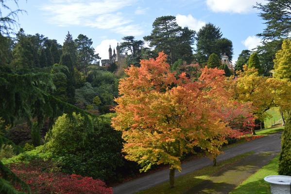 Alton Towers Guide tweet media