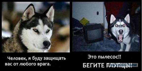 Наталья Васильева (@millivasilieva) on Twitter photo 