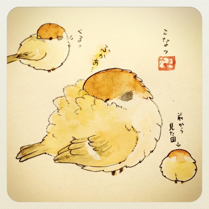 鳥は自分の背中がふかふか布団になるからうらやましい 