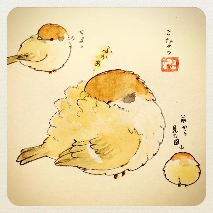鳥は自分の背中がふかふか布団になるからうらやましい 