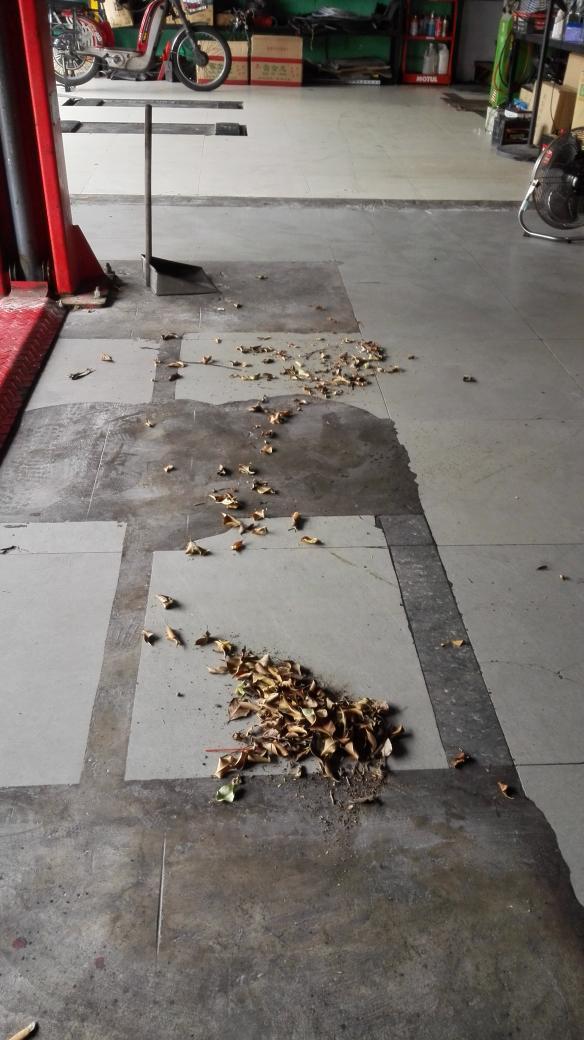 徐侠侠 tweet media