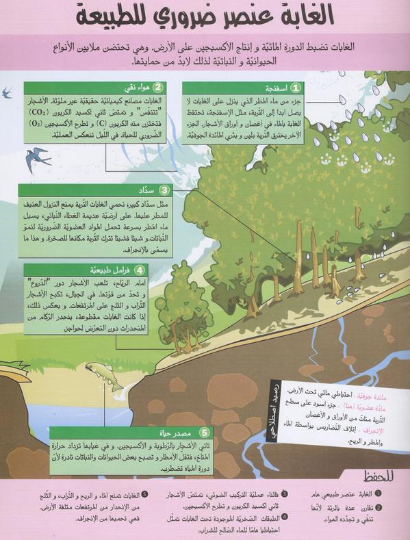 تبسيط المفاهيم البيئية (6)
اهمية الغابات
#بيئة #تعليم