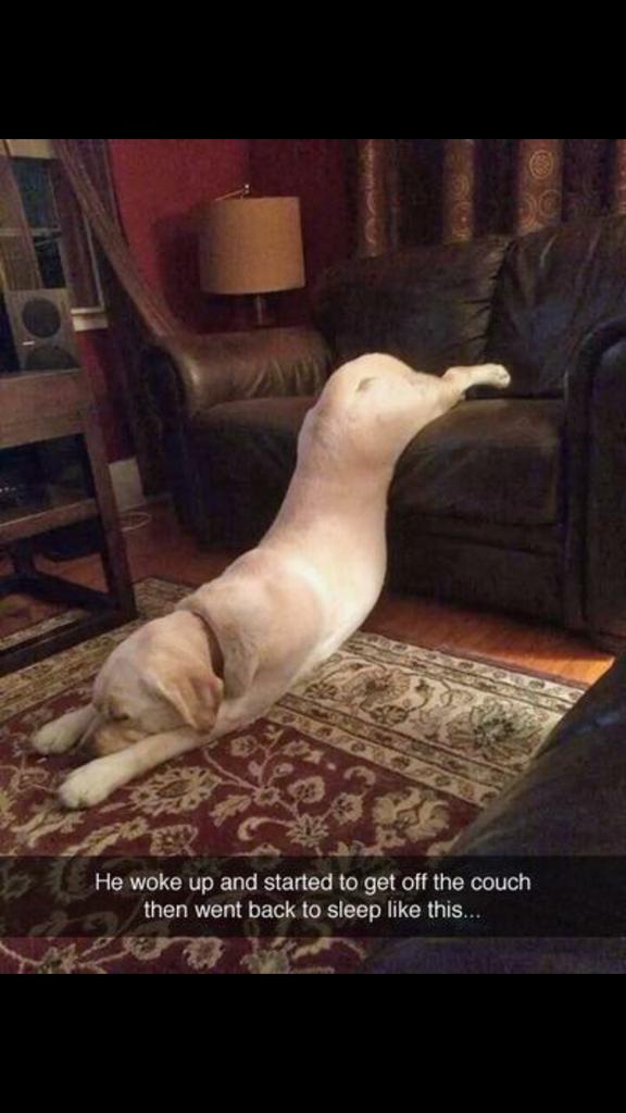 See3Inc's tweet photo. This is how I feel this morning http://t.co/uYrX6IN27l