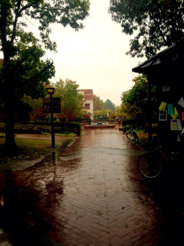 hannah_c_holt's tweet image. Rainy Harding #hardinguniversity