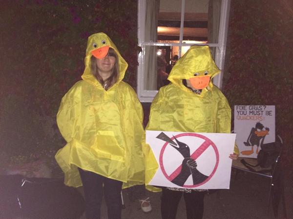 HertfordshireAR's tweet photo. We campaign against animal cruelty throughout Herts by means legal protest and outreach.HARenquiries@gmail.com #Vegan http://t.co/ZTIMFNIzt7