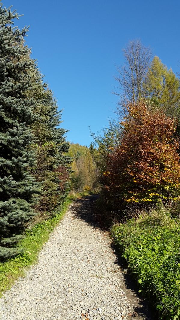 Djczas's tweet image. #GALAXYAlpha @SamsungPolska telefon zgrabny i szybki z którym można robić wszystko z #LevelOver idealna para