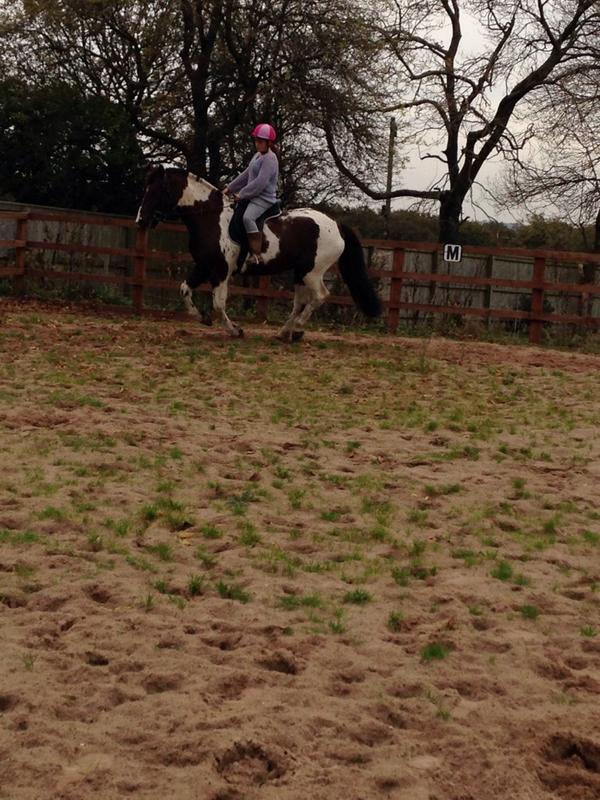 misslaurabreen's tweet photo. Riding 👌😘 #equestrianhour http://t.co/YludeiT152