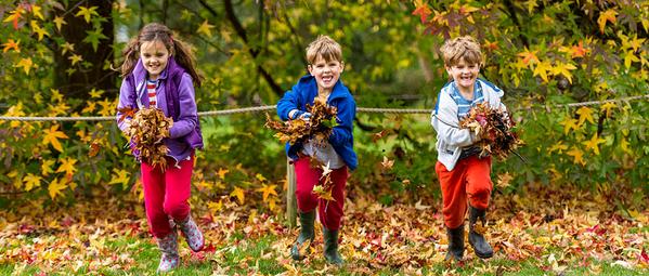 The_RHS's tweet image. Have family fun this half-term with our great activities, or just explore the great outdoors! rhs.org.uk/gardens/Whats-…