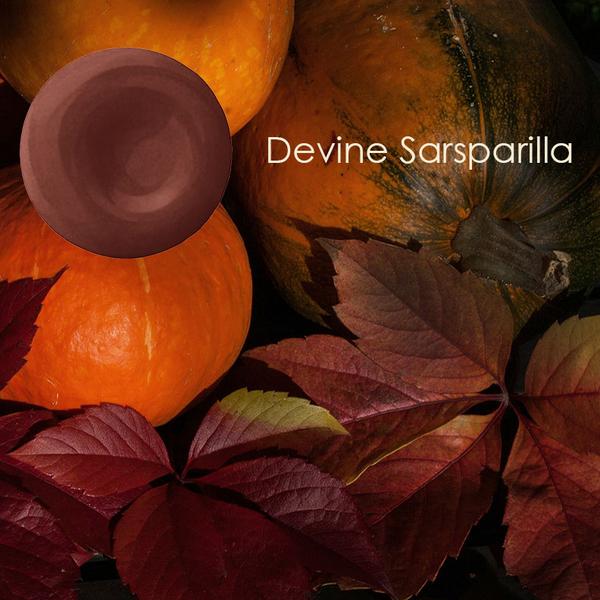 devinecolor's tweet photo. We are seriously getting into fall colors these days. Are you? Happy #Huesday http://t.co/id6gm8MPBy