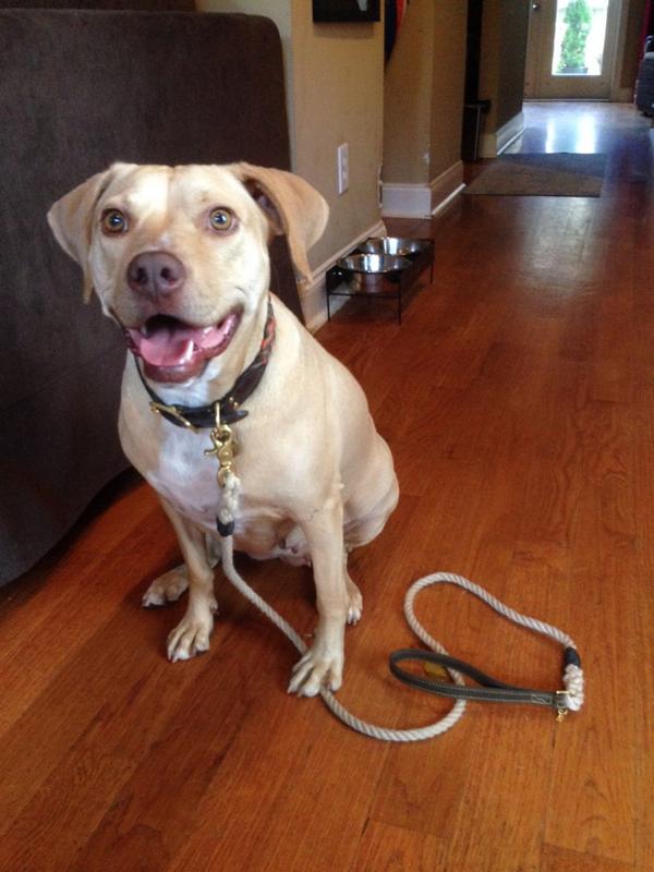 I think it's a perfect day for a fall walk!!!!