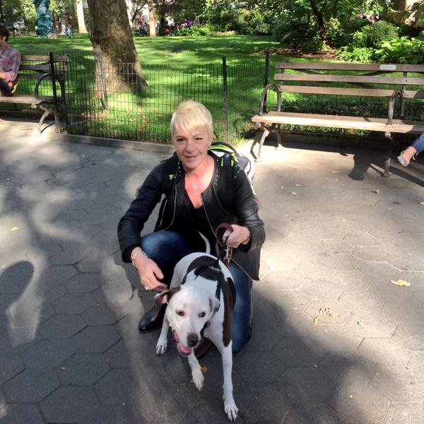 luxuryleash's tweet photo. Friend and client Dana rescued this adorable baby girl "Piper". She was one day away from being destroyed. Yay!!!!!! http://t.co/HnZNBrYaTn