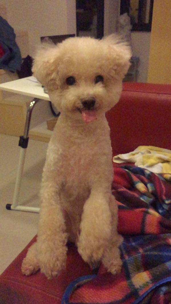 neoli's tweet photo. Cute http://t.co/LOgp4zIYtK
