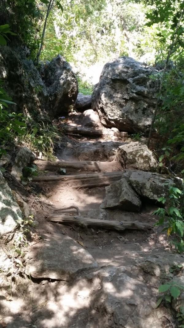 TrekkinOrg tweet picture